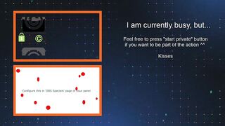 eva_koi - The streamer's having a nice chat