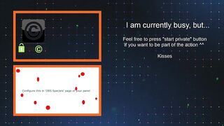 eva_koi - The streamer's having a nice chat